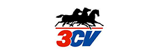 3CV
